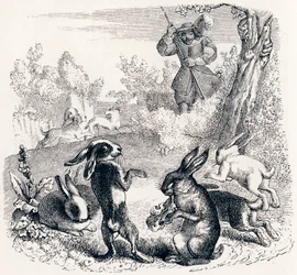 Die Kaninchen - Fabeln von La Fontaine