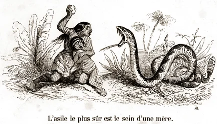 Das sicherste Asyl ist die Brust einer Mutter