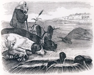 Die zwei Hunde und der tote Esel - Fabeln von La Fontaine