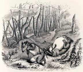 Die zwei Ratten, der Fuchs und das Ei - Fabeln von La Fontaine