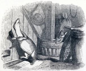 Das Wiesel betritt einen Dachboden - Fabeln von La Fontaine