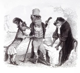 Der Wolf, der vor dem Affen gegen den Fuchs plädiert