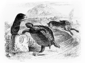 Der Hase und die Schildkröte, Illustration für 