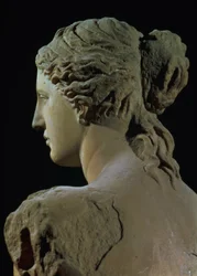 Venus von Milo (Detail)
