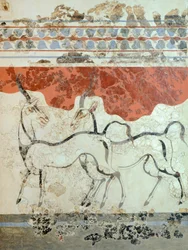 Antilopen, Fresko von Akrotiri, Thera (heute Santorin), Griechenland, minoische Zivilisation