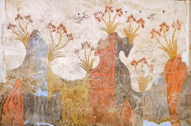 Zimmer der Lilien oder Frühling, Fresko von Akrotiri, Thera (heute Santorini), Griechenland, minoische Zivilisation