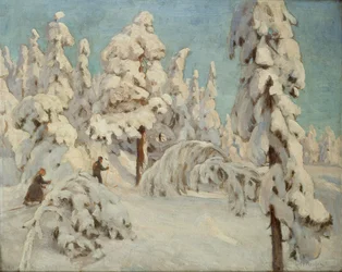 Skifahrer