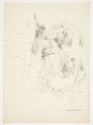 Studie von Zweigen