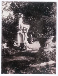 Fotografie