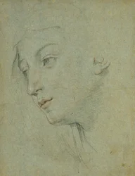 Der Kopf einer Frau, die nach links unten schaut