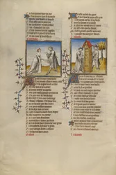 Roman de la Rose