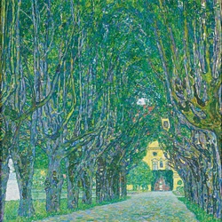 Allee im Schloss Kammer Park