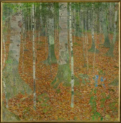 Buchenwälder