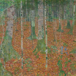 Birkenwald