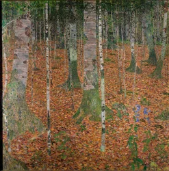 Birkenwald