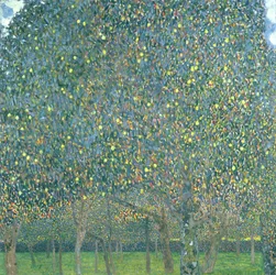 Birnbaum, 1903