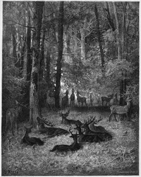 Le cerf malade - Der kranke Hirsch - aus 