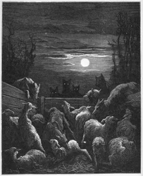 Les Loups et les Ebis - aus 