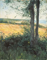 Am Meer, Normandie, 1884