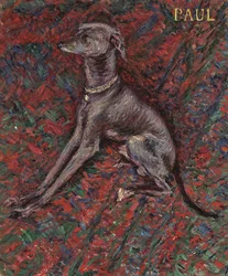 Der Hund 