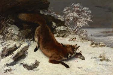 Fuchs im Schnee