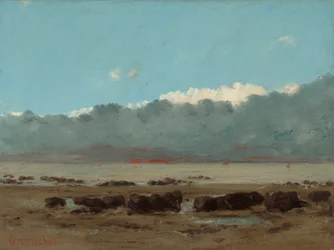 Schwarze Felsen bei Trouville