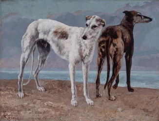 Die Windhunde des Comte de Choiseul