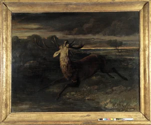 Der Hirsch hat Wasser (Jagd auf einen Lauf) sagt die Hirschkraft