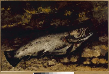 Die Forelle