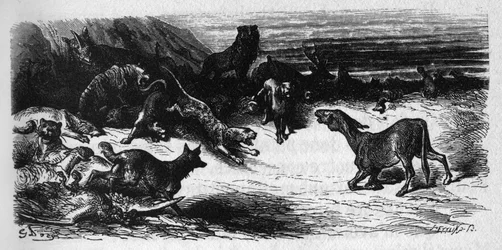 Die Tiere, die an der Pest erkranken. Fabeln von Jean de La Fontaine (1621-95). Illustration von Gustave Doré
