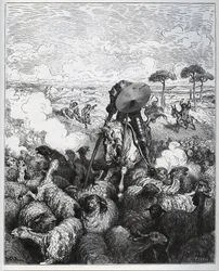Don Quixote greift eine Schafherde an, da er glaubt, es handle sich um die Armee von Alibanfaron von Taprobana - aus „Don Quixote de la Mancha“ von Miguel Cervantes (1547-1616) - Holzschnitt nach einer Zeichnung von Gustave Dore