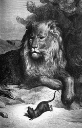 Fabel von La Fontaine: Der Löwe und die Ratte von Gustave Doré. 19. Jahrhundert.