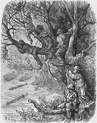 Auf den Bäumen sitzend, 1872