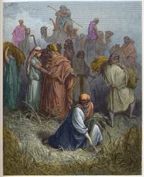 Ruth und Boas - Ruth arbeitet auf den Feldern von Boas - Gravur in „Die illustrierte Bibel“ von Gustave Doré (1832-1883) - Gravur aus „Die Doré-Bibel“.