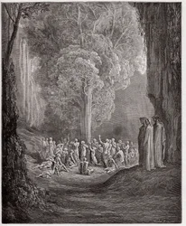 Die Göttliche Komödie (La Divina Commedia), Purgatorio, Gesang 24: Die gefräßigen Seelen weinen unter dem Baum - von Dante Alighieri - Illustration von Gustave Dore
