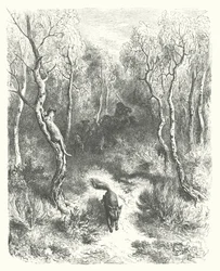 Die Fabeln von La Fontaine: Die Katze und der Fuchs (Gravur)