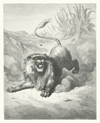 Die Fabeln von La Fontaine: Der Löwe und die Mücke