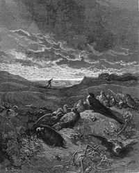 Die Schwalbe und die Vögel, Illustration aus 