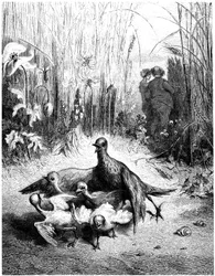 Die Lerche und ihre Jungen mit dem Meister eines Feldes: Fabel von Jean de la Fontaine, illustriert von Gustave Doré - Vögel