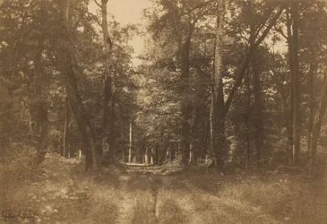 Bas-Bréau, Wald von Fontainebleau, 1849-1852