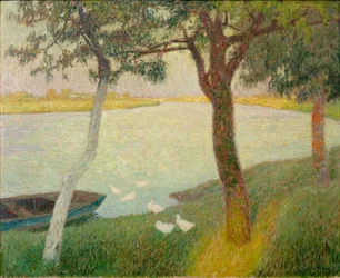 Enten am Fluss Leie