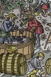 Ernte - Weinlese - Schäferkalender - Die Arbeiten der Monate - Oktober - Holzschnitt aus dem Buch von 1496, gedruckt von Guy Marchant (Guido Mercator) in Troyes - Holzgravur in "Le grand Calendrier et compost des shepherds" - Die Ernte - und die