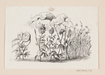 Illustration zu "Den lille Idas Blomster" in H.C. Andersen, "Märchen und Geschichten", Band 1