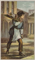 Metzgerjunge