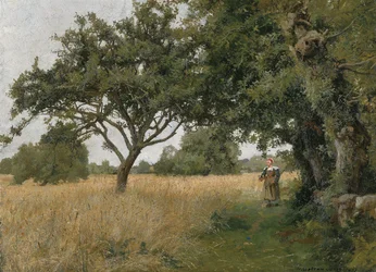 Bretagne Landschaft