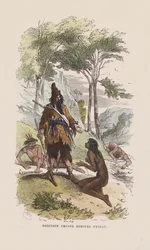 Robinson rettet Freitag