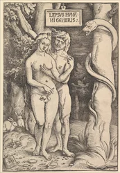 Adam und Eva, 1511