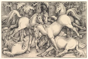 Gruppe von sieben Pferden, 1534
