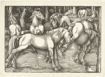Gruppe von sechs kämpfenden Pferden