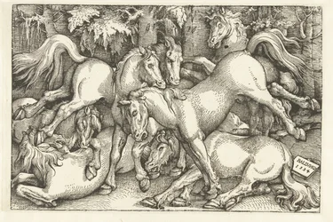 Gruppe von sieben kämpfenden Pferden